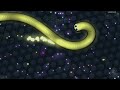 Kory Plays SLITHER.IO..