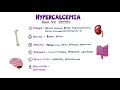 An Approach to Hypercalcemia - Causes, Calcium Homeostasis, Mechanisms & Signs and Symptoms Mnemonic
