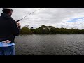 Small bream on popper Yamba NSW