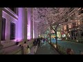 【Cherry blossoms】SAKURA in TOKYO 2024. Under the cherry blossoms with Loved one. 東京で遅い桜の満開 #桜