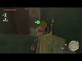 What Happens if you SURPRISE GANON Early in TotK?