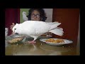 White Bird  Reviews Pani Puri With His Owner | Taste Test 2