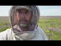 Checker Boarding Frames to Support Straighter Comb Building - Honey Production on Hairy Vetch - VLOG