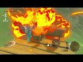 Zelda - Tears of the Kindom - 281 | Switch 1440p