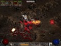 Diablo 2 Druid gameplay