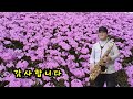 김윤호노래 사랑나비 김규태 연주