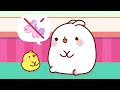 Surfing lessons with Molang and Piu Piu 🏄 | Funny Compilation For kids