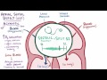 Atrial septal defect ASD repair, causes, types, symptoms & pathology