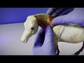 Altering a Breyer MODEL HORSE, Start to Finish (The Complete Customizing PROCESS)