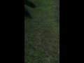 Mower race flip over injury