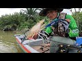 Tarikan Padu Udang Galah Sungai Muar | #mancingudang #prawnfishing #shrimpfishing