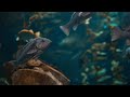 The Best Aquarium in 4K HDR 🐠 Calm & Relaxing Coral Reef Aquarium - Relaxing Tv Art Screensaver