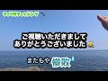 【ショアジギング】山陰の夏にショアジギングで青物を釣りたい！だけどもだっけど⁈