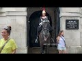 ⚠️ POLICE Officer Rushes to STOP HER from feeding the King's Horse.