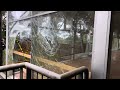 Exploring the abandoned Dismal Swamp visitor centre, left to be claimed by nature and vandalism.