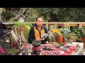 Bird Medicine and the Art of Feathers with Ernesto Olmos