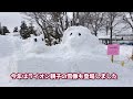 How Orito the Lion gets angry, how to comfort him, and his gentle voice ,at Asahiyama Zoo