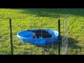 Bella and the Pool