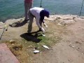 Khobar Anglers - Sabiki Catch