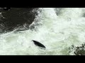 Kayaking Benham Falls on the Upper Deschutes River