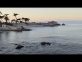 Exploring the Monterey Coast