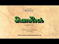 Sweet Caroline by Neil Diamond | Performed by ShamRock Jazz Orchestra ☘️ (Live Extended Version)