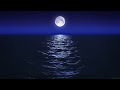 Sleep Music With Ocean and Jungle Sounds – Relaxing Blue Screen Scene – Ocean and Full Moon