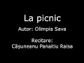 La picnic