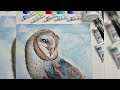 Kusakabe watercolors Painting an Owl