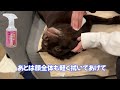 【新入り】超可愛い甘えた子猫がやってきた