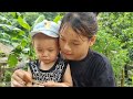 Single mother, 16 years old, Harvesting, selling bananas, helping the boy