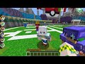 BRASIL MOSTRANDO SEU VALOR NA FINAL DA COPA DO MUNDO DE PIXELMON