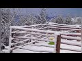 SNOW FALL, IN AGHUNATO ( Nagaland ).