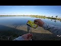 This Pond Lure ALWAYS Gets Bit! (100 Ponds Ep. 45)