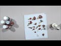 TUTORIAL Setas De Hongos en PORCELANA FRÍA | Artesanías Piuqueyen