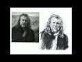 Drawing Robert Plant on ipad