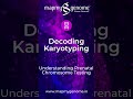 Decoding Karyotyping - Understanding Prenatal Chromosome Testing