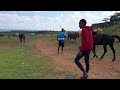 Pasola Lamboya Horse Riding War, West Sumba, NTT (1 February 2022)