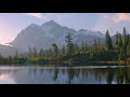 8 Hours of Birds Singing on the Lakeshore and Water Sounds - Relaxing Nature Sounds - Mount Shuksan