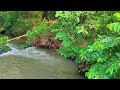 relaxing sound of clear river water, calms the mind, great for meditation, sleeping, Stress,studying