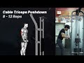 Ultimate Chest and Triceps Workout Guide: Unlock Superior Muscle Growth and Strength!