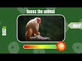 Guess 170 Animal in 3 Seconds - Easy to Hard Level