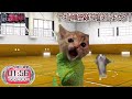 猫ミーム版逃走中 総集編版【猫ミーム】【猫マニ】