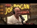 JRE MMA Show #159 with Quinton 