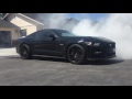 2015 Ford Mustang GT LineLock Burnout