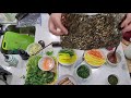 Vegan Gimbap part 2 (Korean Seaweed rice rolls).  완전채식 왕김밥,              월남반미 김밥, 사과 김밥.