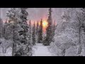 ПАДАЛ СНЕГ - КРАСИВАЯ МУЗЫКА ДЛЯ ДУШИ ❄️⛄🎅🎄Music by Sergei Chekalin