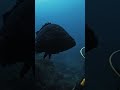 Diving Trip and amazing coast line