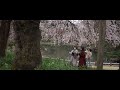 Cherry blossoms and the celebration of temporary beauty 🌸⏳ Japan #SlowTravelDiaries 🇯🇵 pt. 2 | Vlog