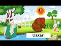 Amazing Animal Alphabet | A to Z Animal Names for Kids| Learning Animal Names with Fun #atozanimals